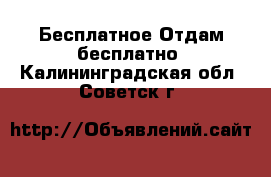 Бесплатное Отдам бесплатно. Калининградская обл.,Советск г.